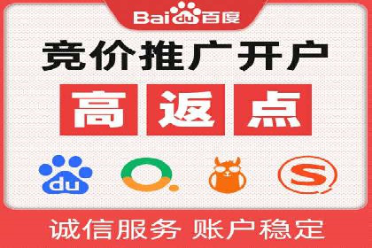 竞价排名在电商行业的实战案例